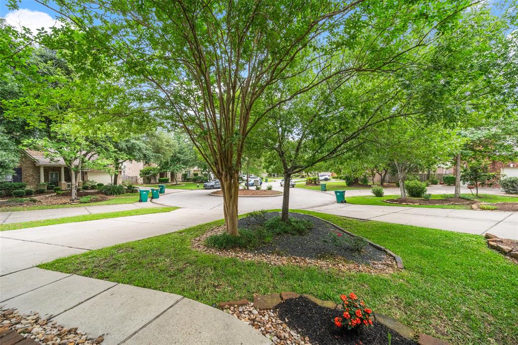 19 Beauty Bower Place, The Woodlands, Texas image 37