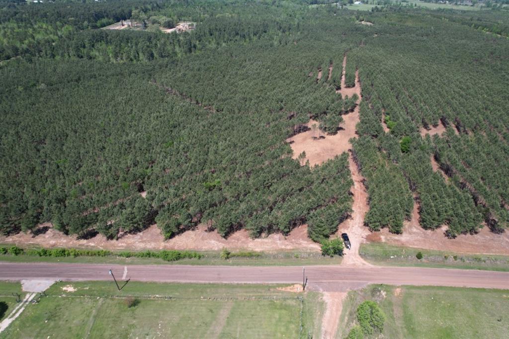 TBD-I Lincoln Springs Rd, Gladewater, Texas image 7
