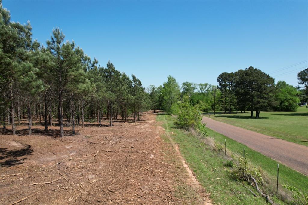 TBD-I Lincoln Springs Rd, Gladewater, Texas image 4