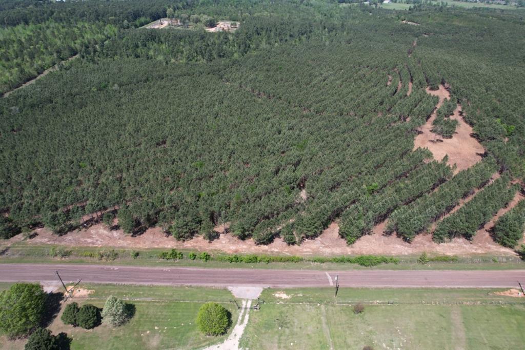 TBD-I Lincoln Springs Rd, Gladewater, Texas image 6