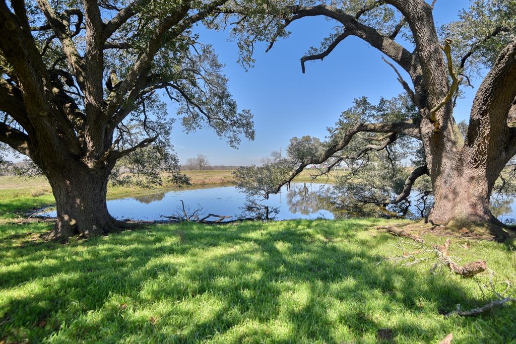 8437 Tottenham Road, Chappell Hill, Texas image 23