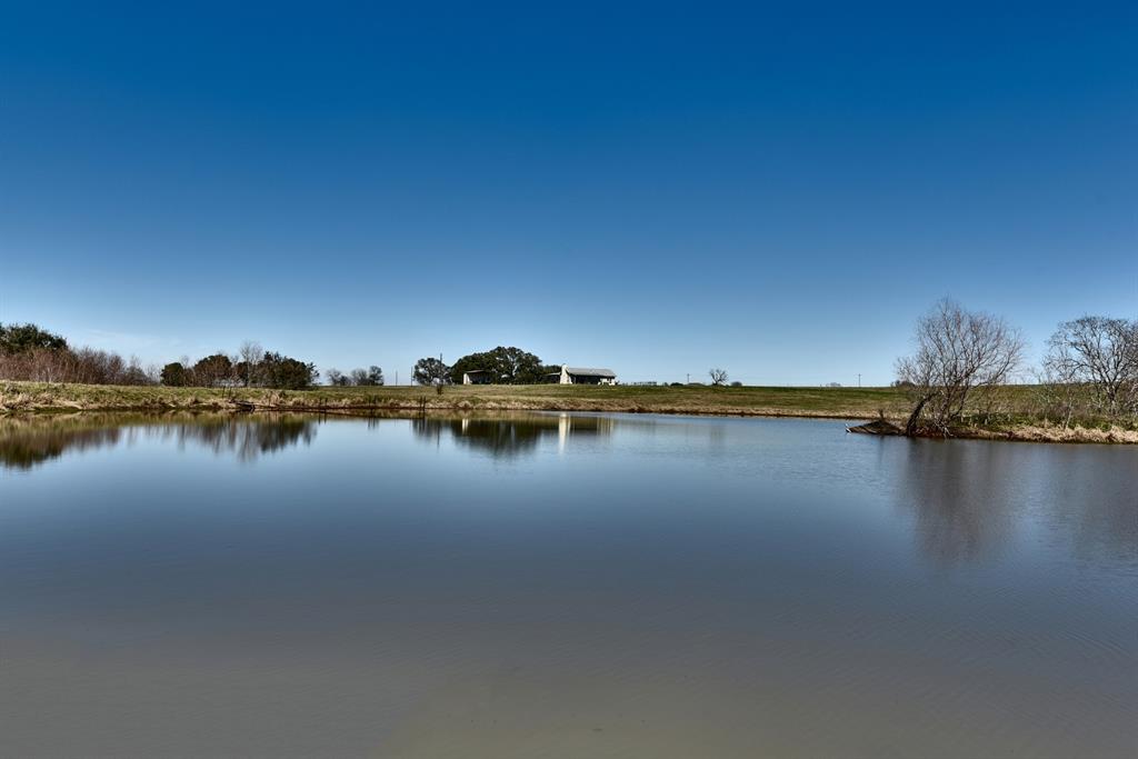 8437 Tottenham Road, Chappell Hill, Texas image 22