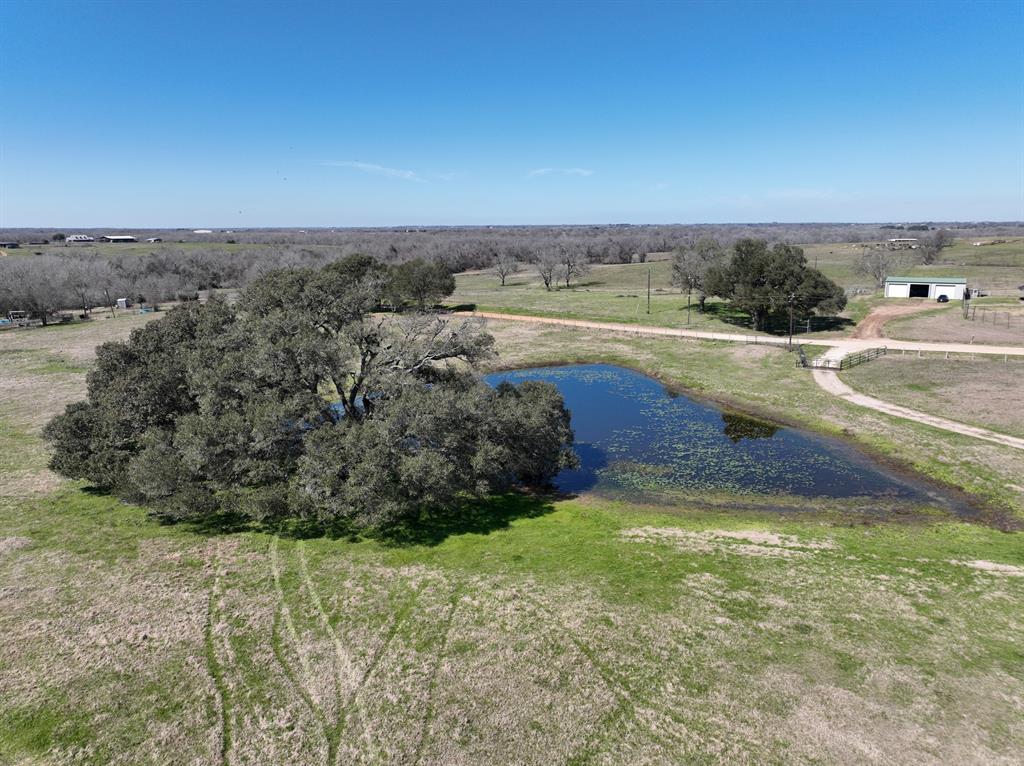 8437 Tottenham Road, Chappell Hill, Texas image 5