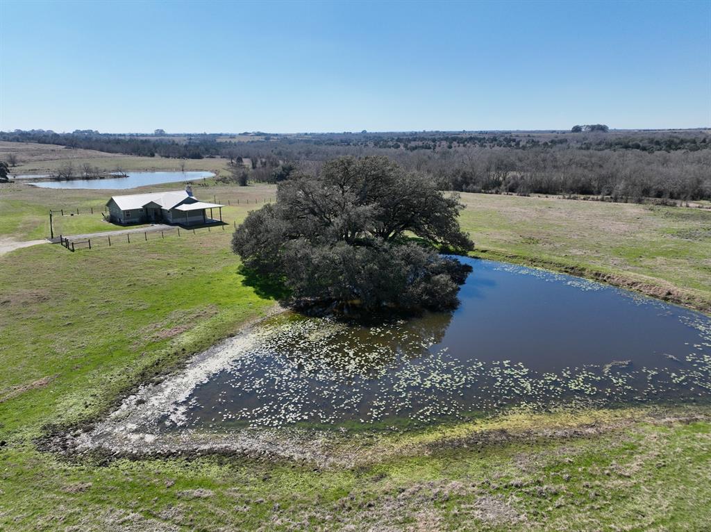 8437 Tottenham Road, Chappell Hill, Texas image 4