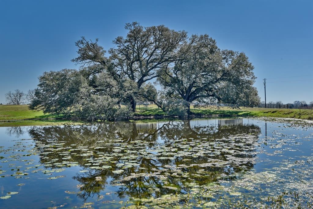 8437 Tottenham Road, Chappell Hill, Texas image 3
