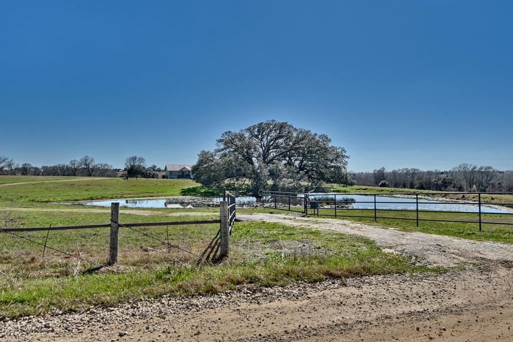 8437 Tottenham Road, Chappell Hill, Texas image 24