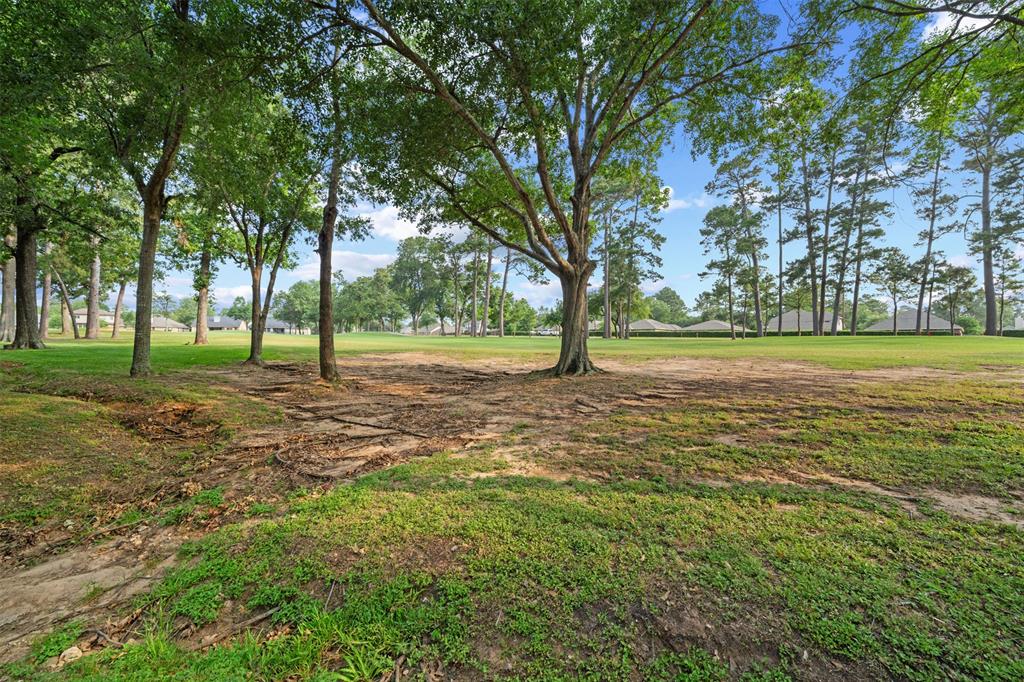 13314 Hilton Head Drive, Montgomery, Texas image 30