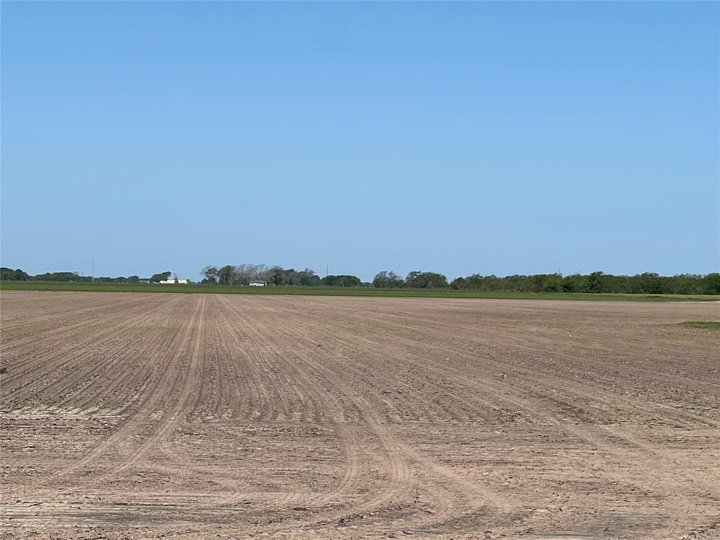 4556 County Road 307 Rd, Louise, Texas image 16