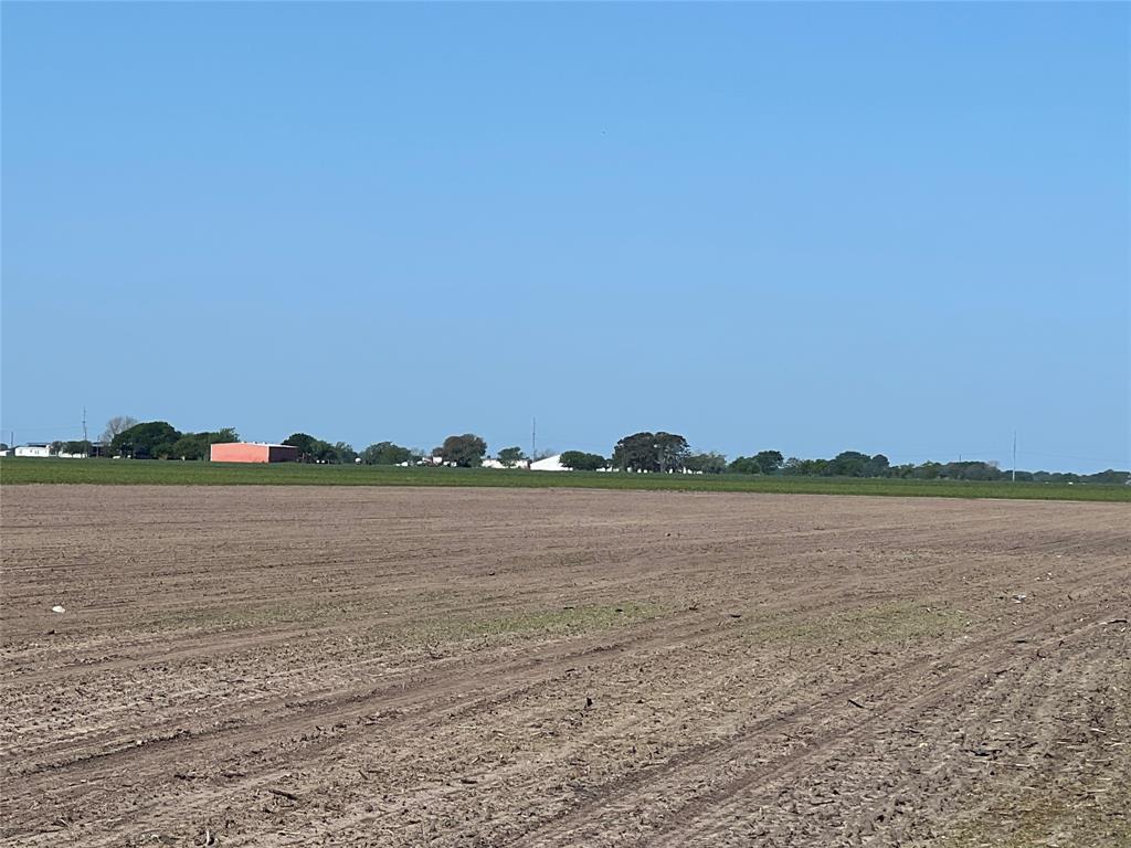 4556 County Road 307 Rd, Louise, Texas image 20