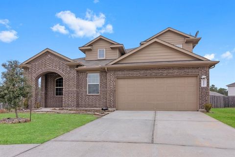 Single Family Residence in New Caney TX 18101 Woodpecker Trail.jpg