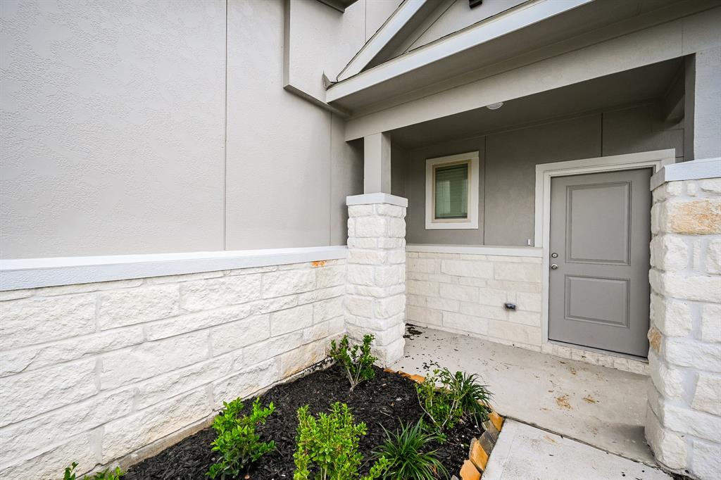 21715 Cypress Trellis Dr Dr, Cypress, Texas image 3