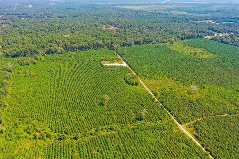 Vacant Land For Sale - 000 Fm 1010<br/> Liberty County, Cleveland, TX 77327