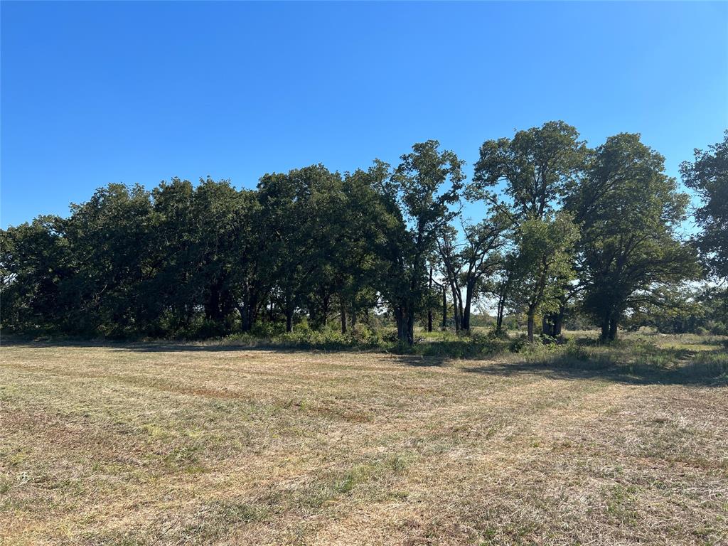 0080 County Road 415, Navasota, Texas image 28