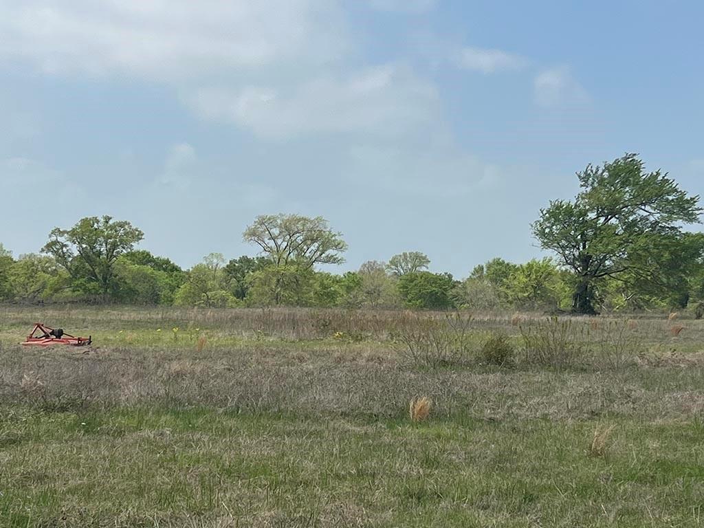 0080 County Road 415, Navasota, Texas image 7