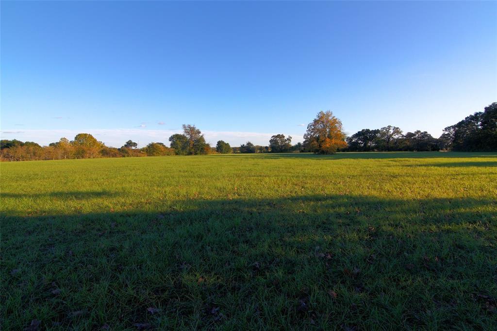 0080 County Road 415, Navasota, Texas image 14