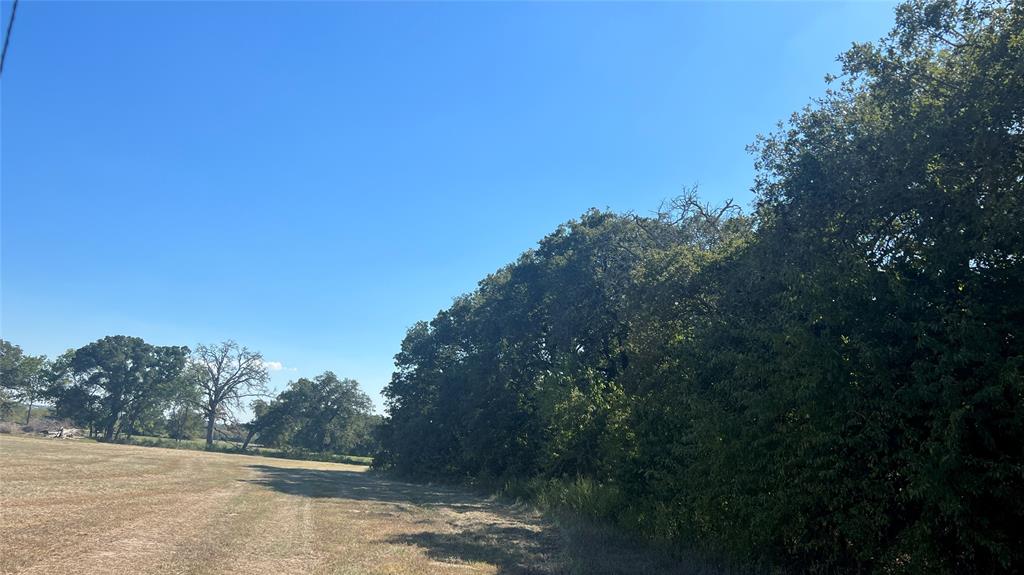 0080 County Road 415, Navasota, Texas image 37