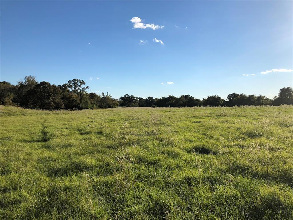 0080 County Road 415, Navasota, Texas image 22