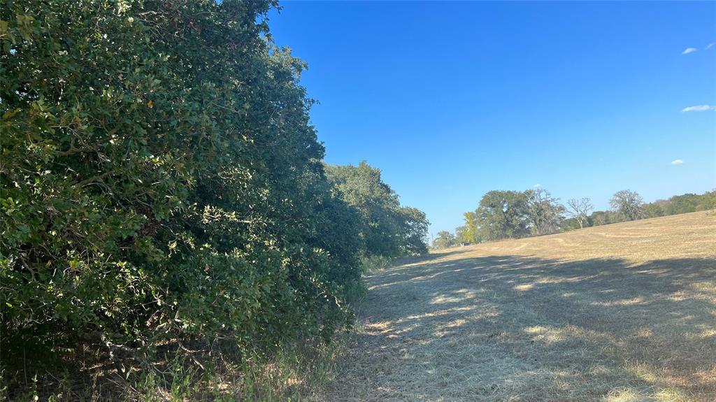 0080 County Road 415, Navasota, Texas image 38