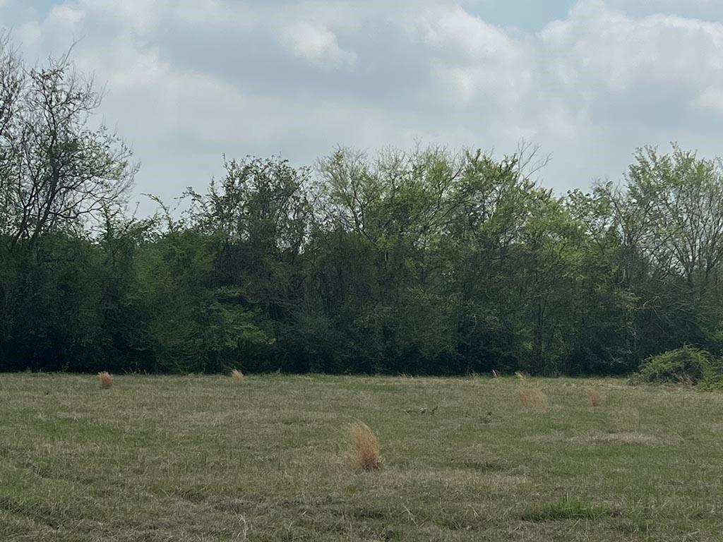 0080 County Road 415, Navasota, Texas image 21