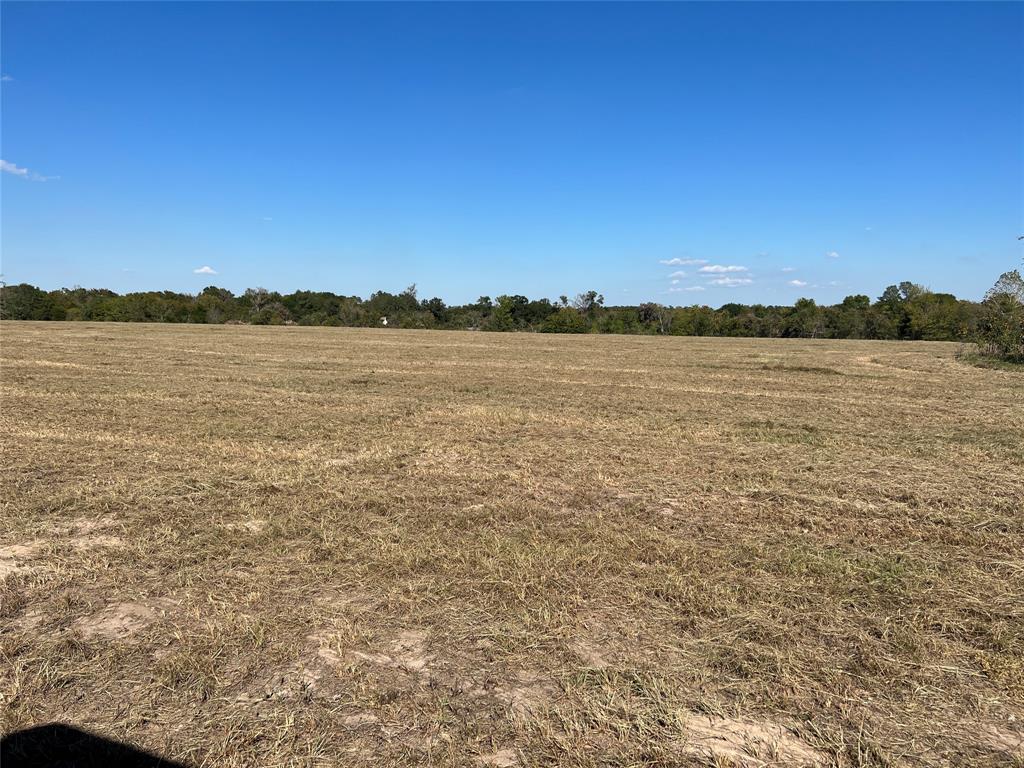 0080 County Road 415, Navasota, Texas image 26