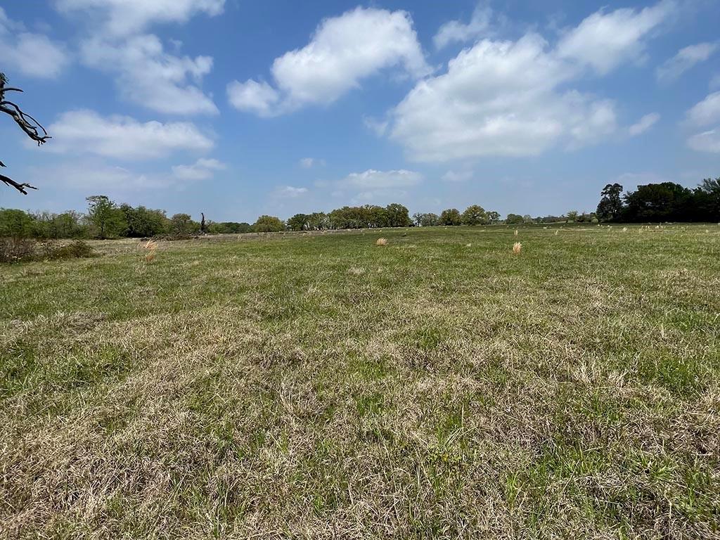 0080 County Road 415, Navasota, Texas image 10