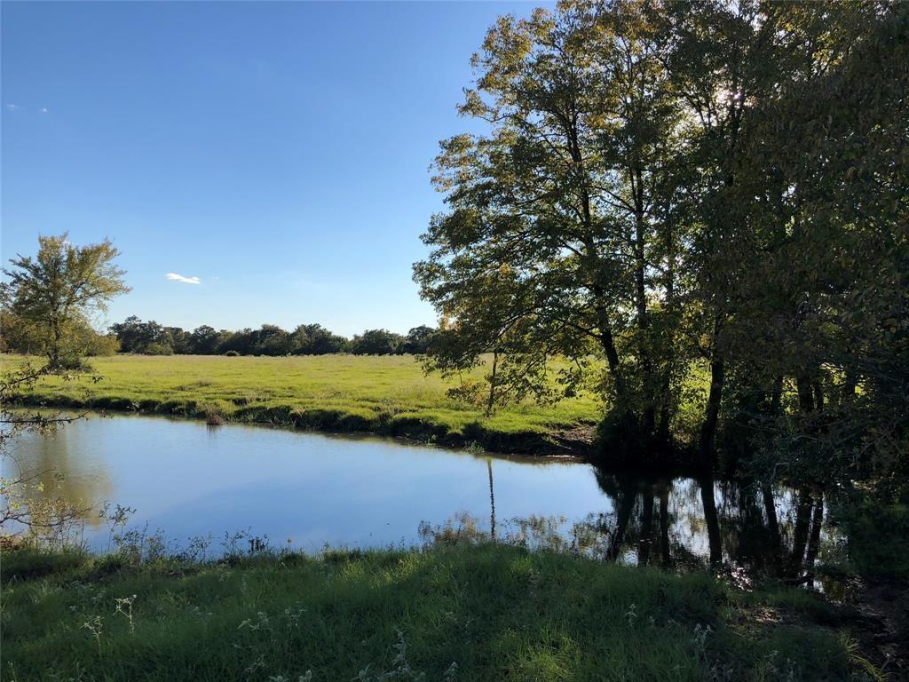 0080 County Road 415, Navasota, Texas image 16