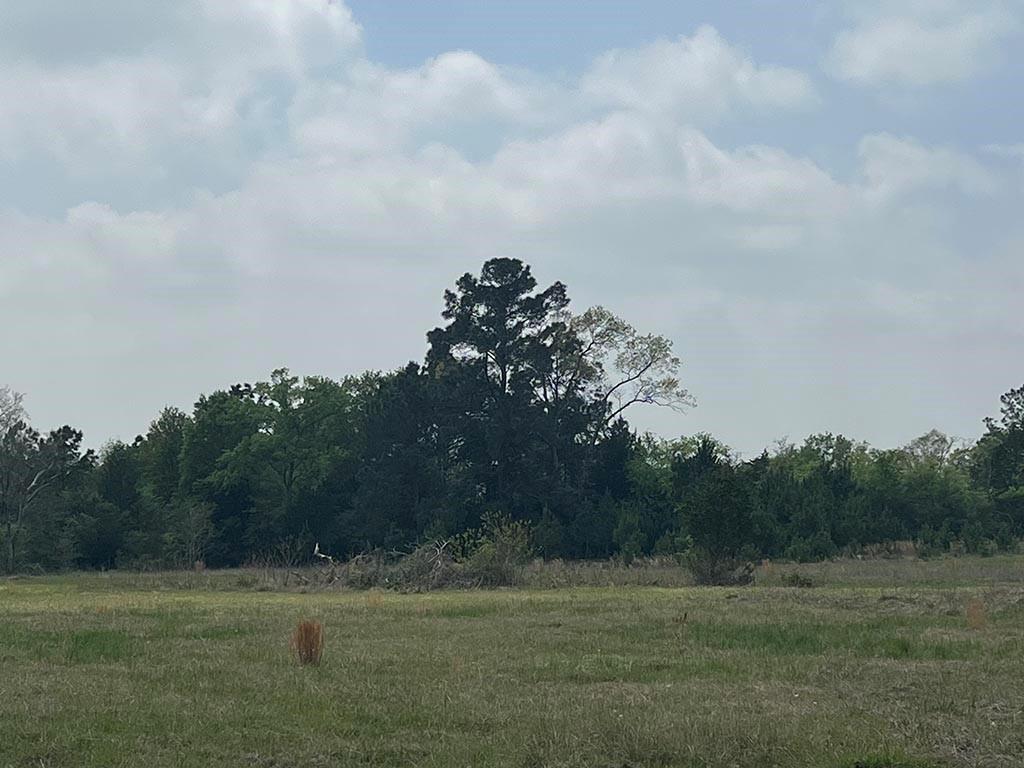 0080 County Road 415, Navasota, Texas image 20