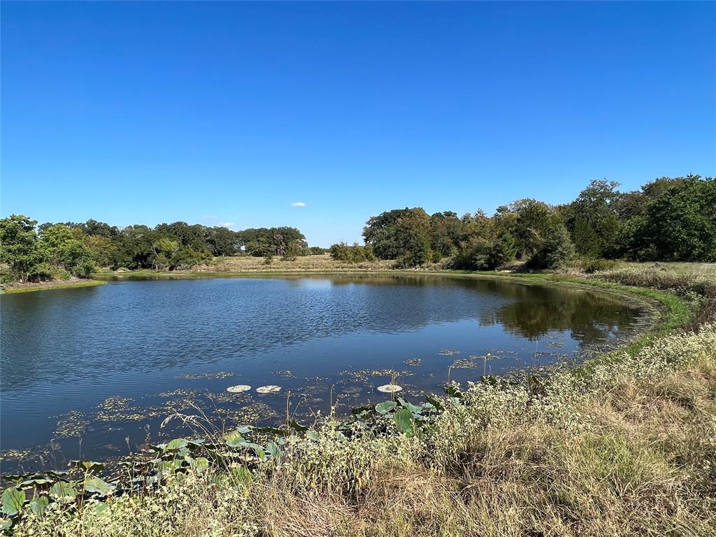 0080 County Road 415, Navasota, Texas image 2