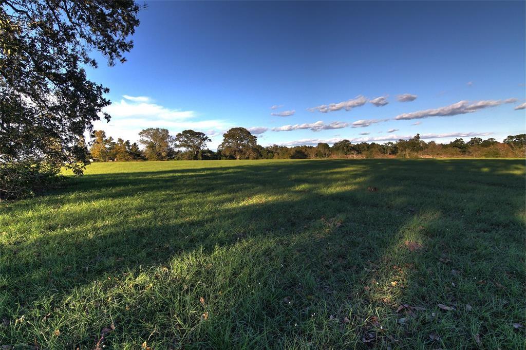 0080 County Road 415, Navasota, Texas image 15