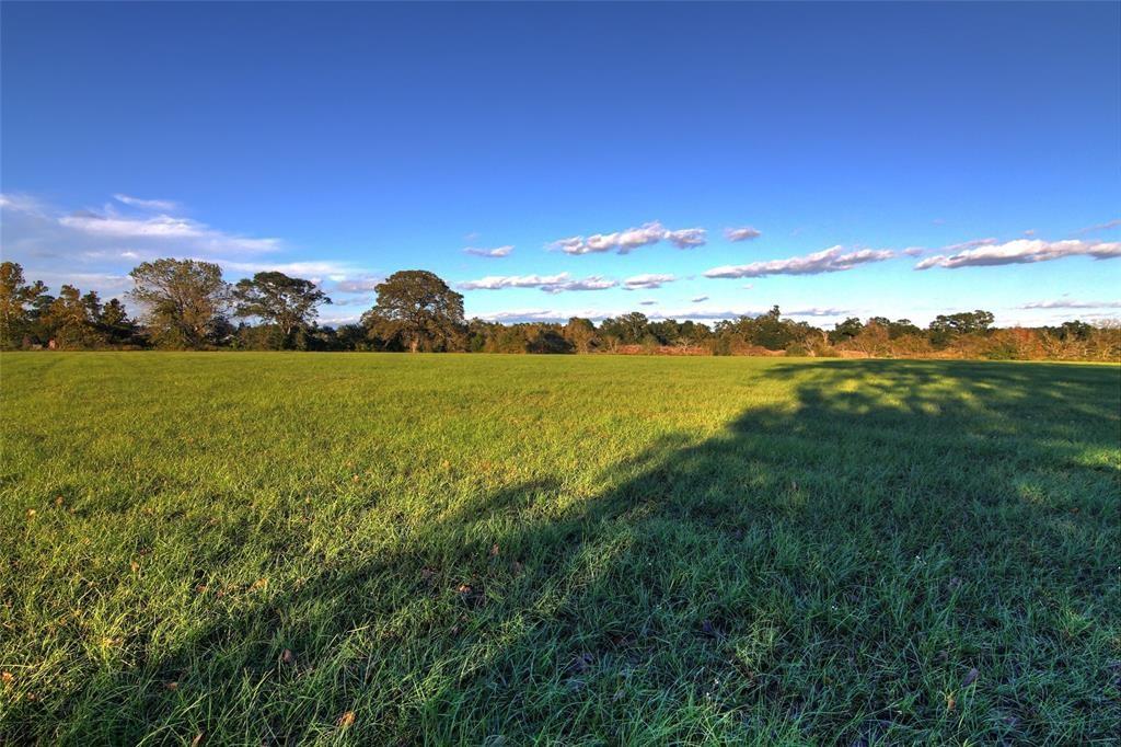 0080 County Road 415, Navasota, Texas image 13