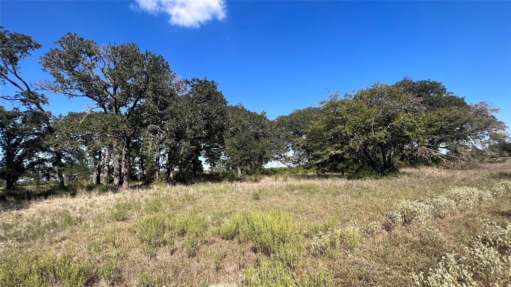 0080 County Road 415, Navasota, Texas image 39