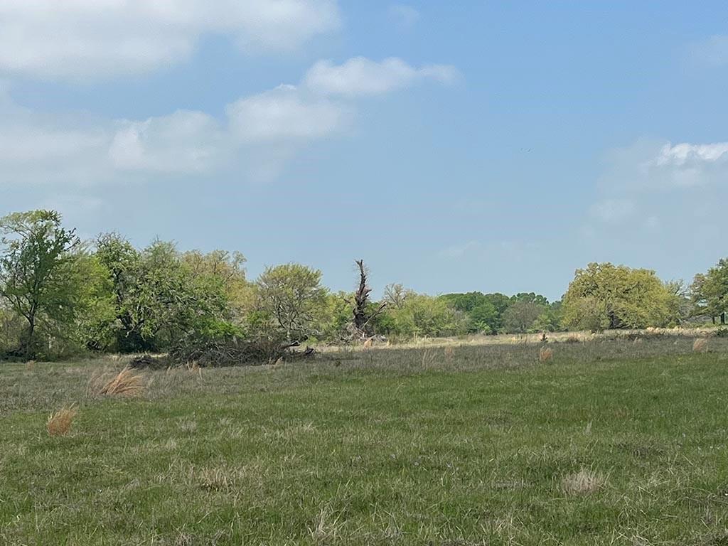0080 County Road 415, Navasota, Texas image 8