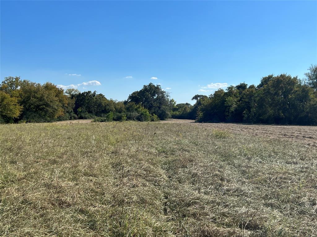 0080 County Road 415, Navasota, Texas image 33
