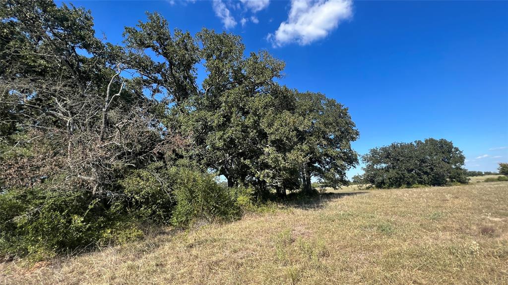 0080 County Road 415, Navasota, Texas image 44
