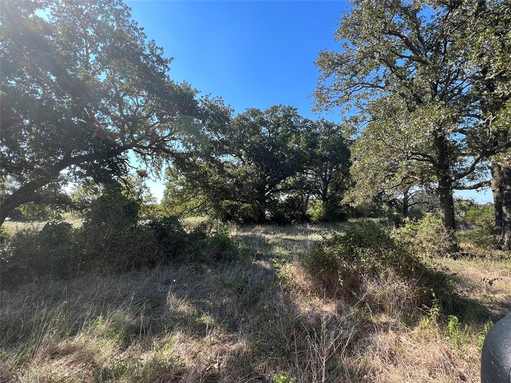 0080 County Road 415, Navasota, Texas image 47