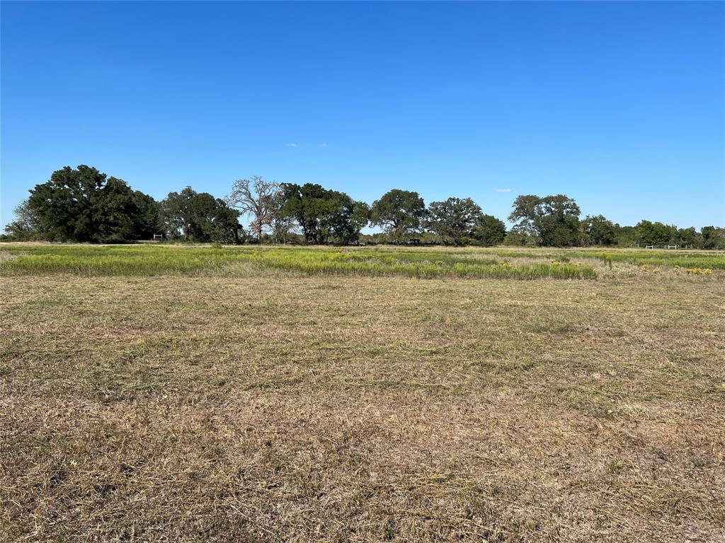 0080 County Road 415, Navasota, Texas image 23
