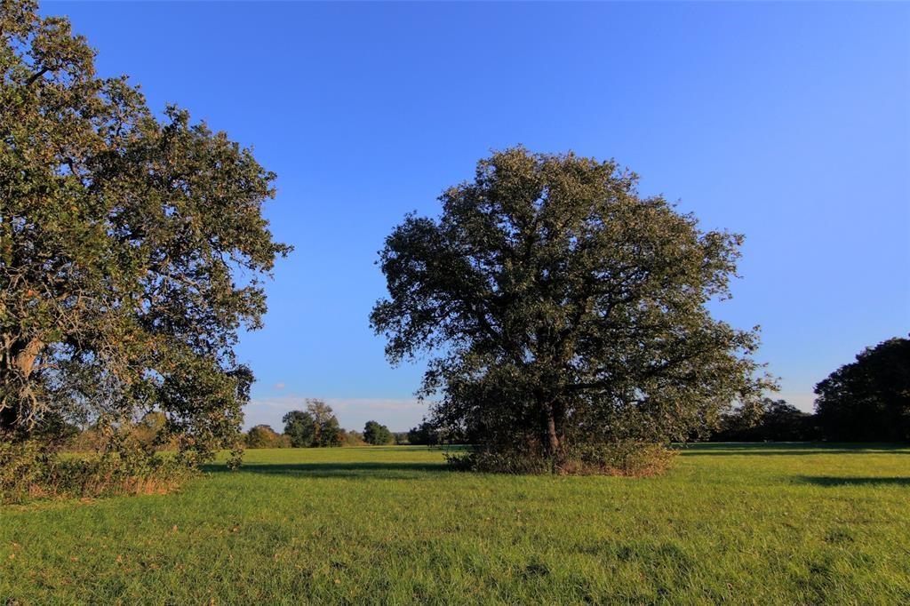 0080 County Road 415, Navasota, Texas image 6