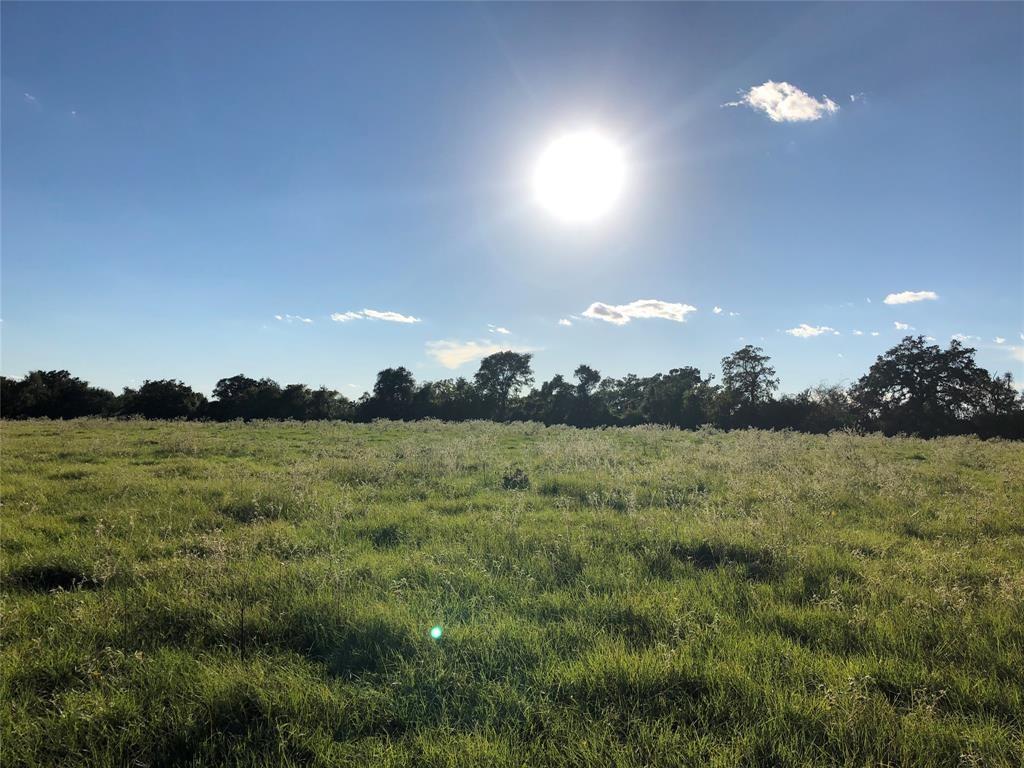 0080 County Road 415, Navasota, Texas image 4