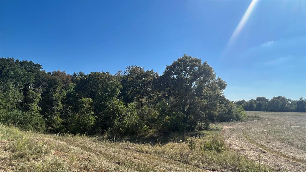0080 County Road 415, Navasota, Texas image 30