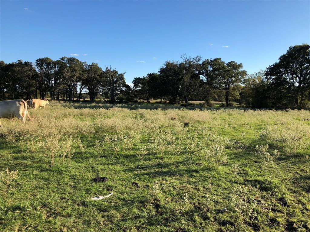 0080 County Road 415, Navasota, Texas image 24