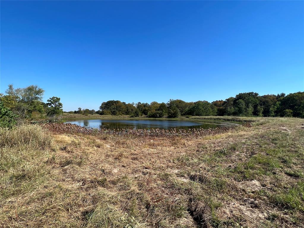 0080 County Road 415, Navasota, Texas image 29