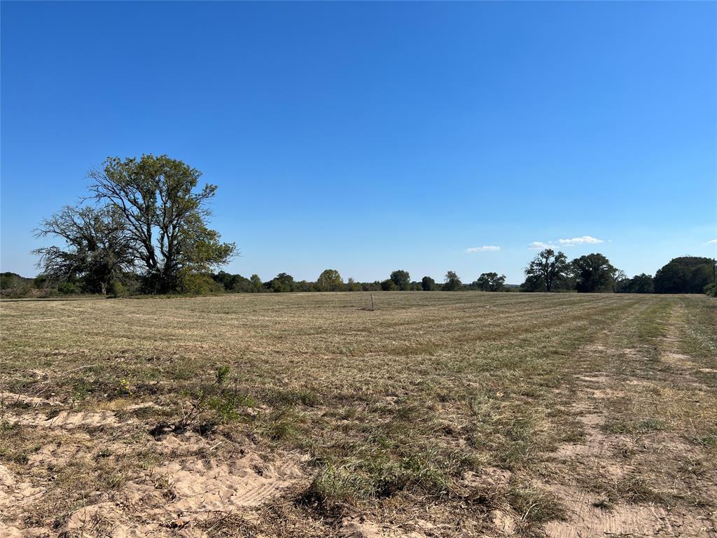 0080 County Road 415, Navasota, Texas image 25