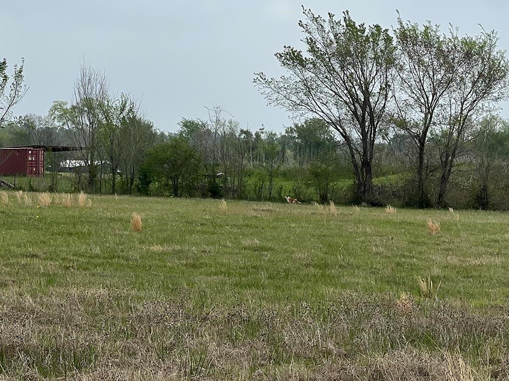 0080 County Road 415, Navasota, Texas image 19