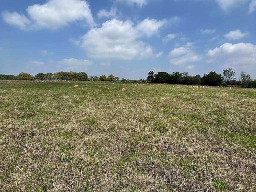 0080 County Road 415, Navasota, Texas image 3