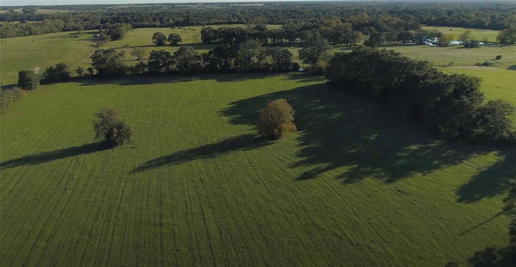 0080 County Road 415, Navasota, Texas image 12
