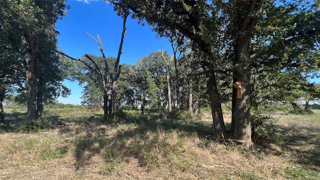 0080 County Road 415, Navasota, Texas image 41