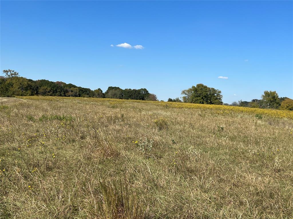 0080 County Road 415, Navasota, Texas image 34