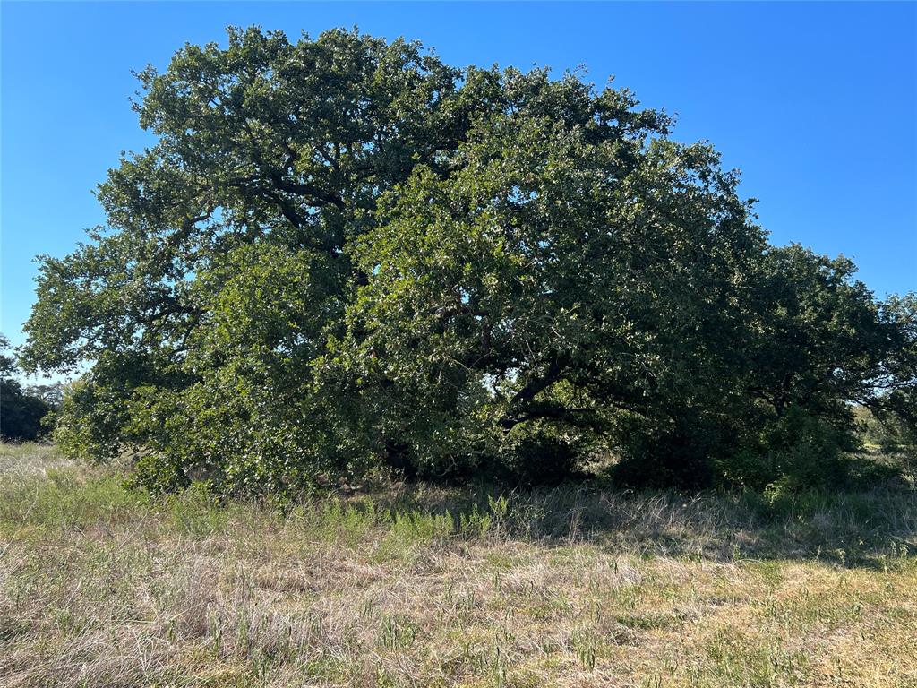 0080 County Road 415, Navasota, Texas image 36
