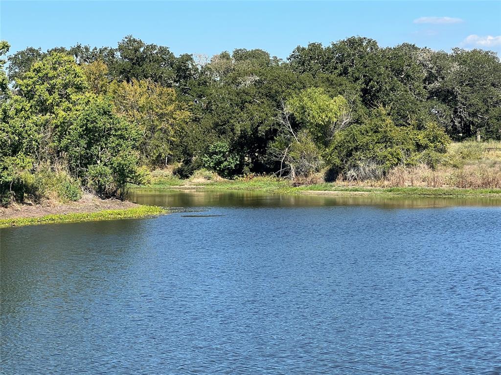 0080 County Road 415, Navasota, Texas image 32