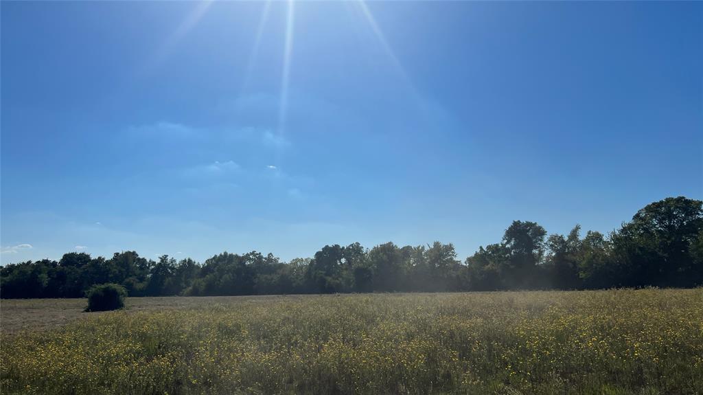 0080 County Road 415, Navasota, Texas image 31
